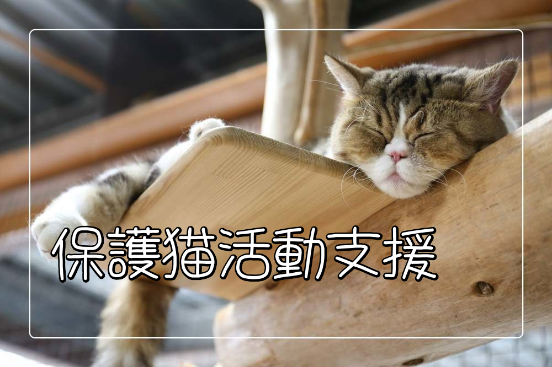 【保護猫活動支援】水出しみんと冷茶ティーバッグ
