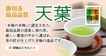掛川茶最高品質天葉