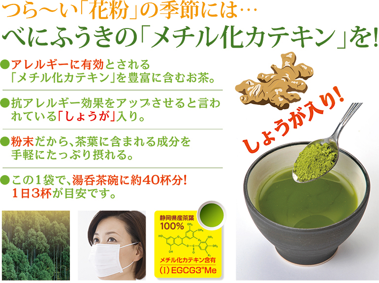 粉末緑茶「しょうが入りべにふうき」