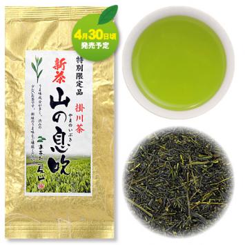 新品種銘茶「山の息吹」【7/8迄】