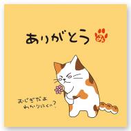 【保護猫活動支援】第50回 東京都優良茶品評会 農林水産大臣賞受賞記念茶