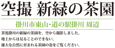 空撮 新緑の茶園 ＜掛川市東山・道の駅 掛川＞