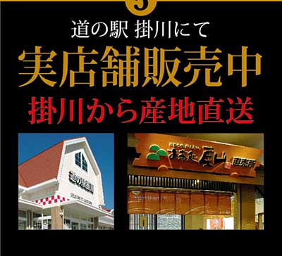 実店舗販売中